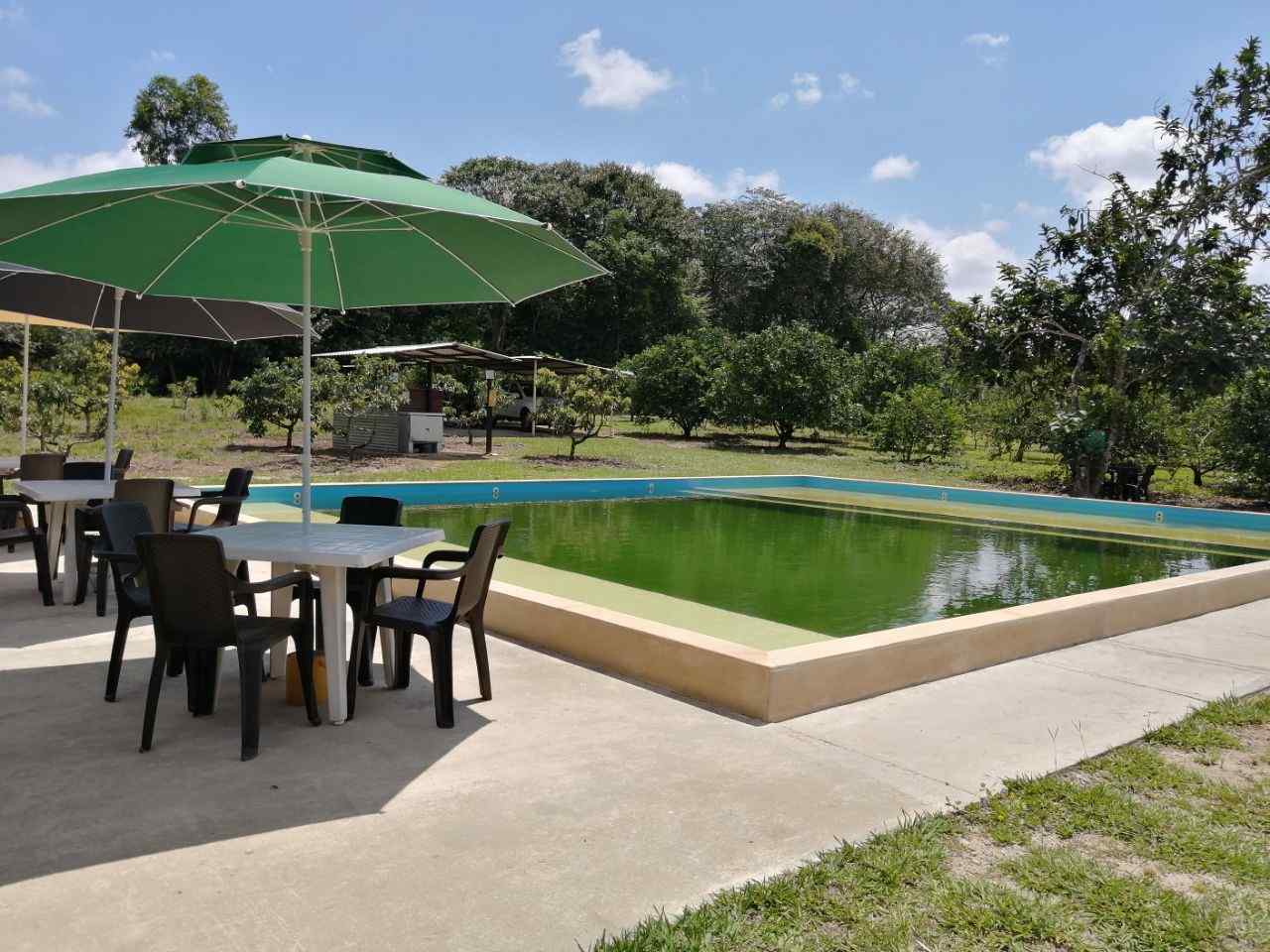 esta imagen pertenece a la Piscina natural