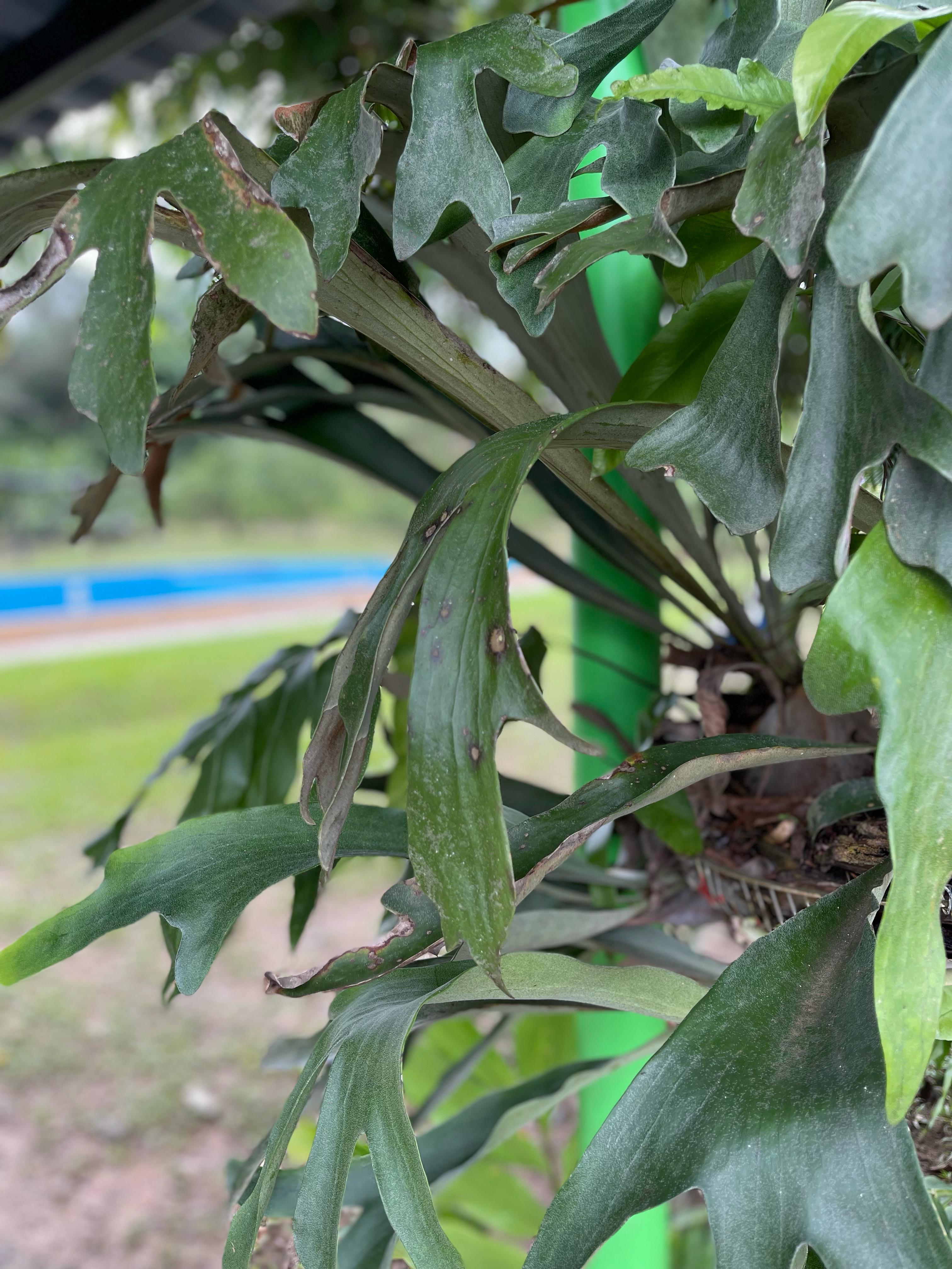 esta imagen pertenece a la Sendero ecológico